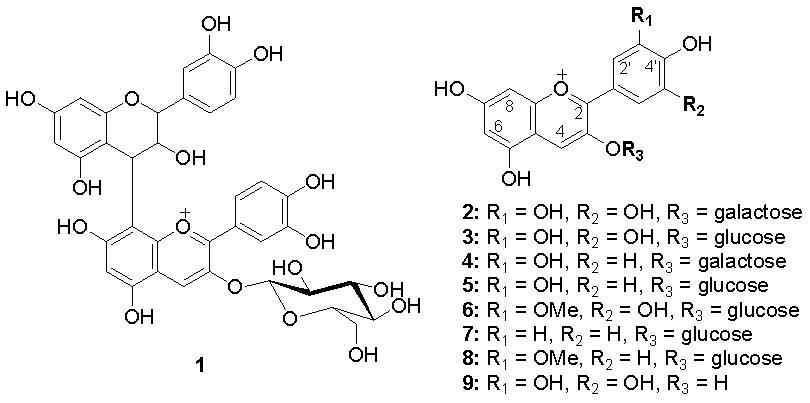 Chemicla structures of anthocyanins in black soybean.
