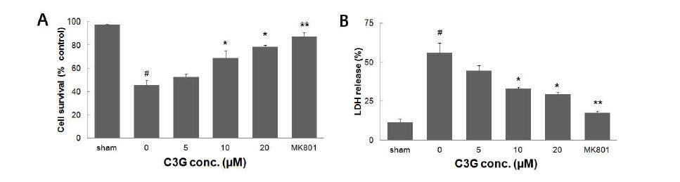 Neuroprotective effect of balckbean anthocyanin (C3G) in OGD model
