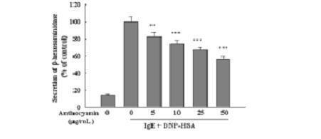 Effect of anthocyanins on -hexosaminidase β release in IgE-antigencomplex-stimilated RBL-2H3 cells. the date are the means±SD (n=4).