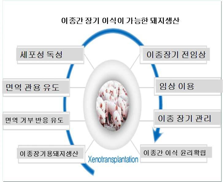 장기 대체 기술 사이의 상호 관계