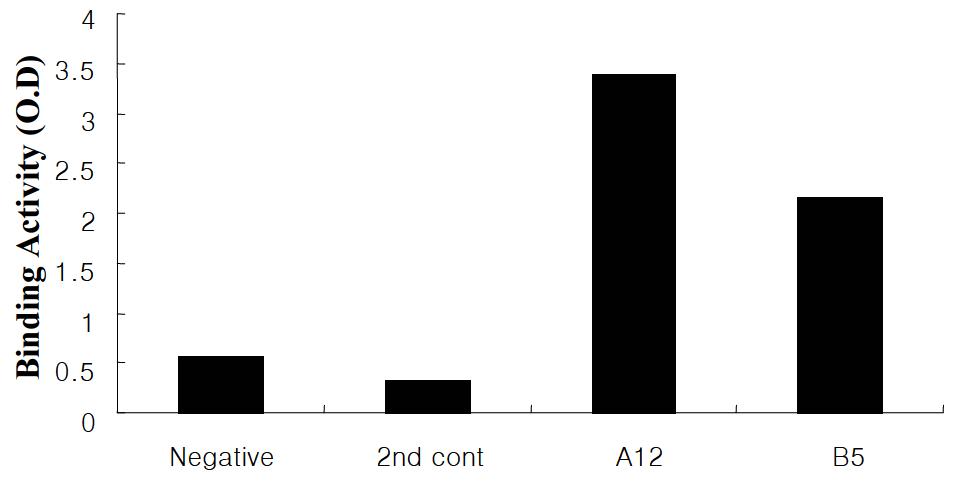 ELISA assay에 의한 CMAH positive hybridoma clone