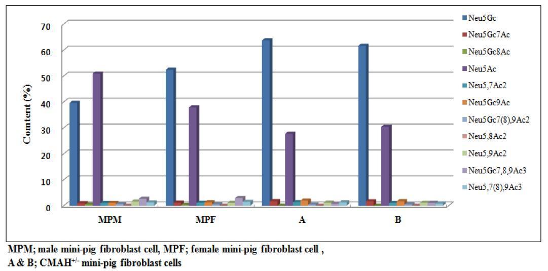 대조군 및 CMAH 적중 체세포에서의 Neu5Gc와 Neu5Ac 및O-acetylated 유도체의 함량 변화