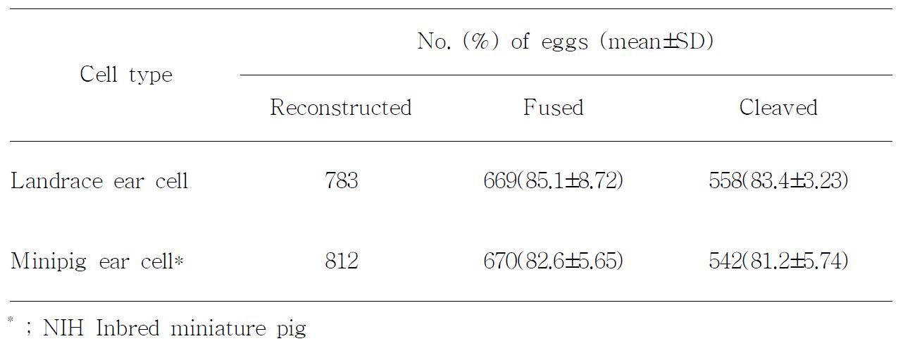 Effects of cell types on cell fusion