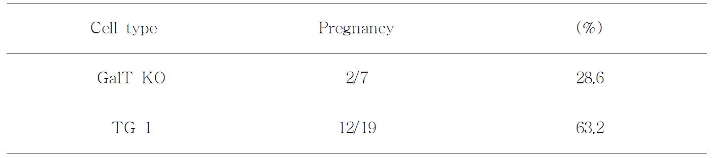 Effect of donor cell types on the pregnancy