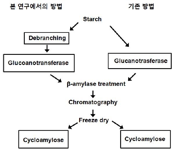 본 연구에서 사용된 환형아밀로오스의 제조방법.