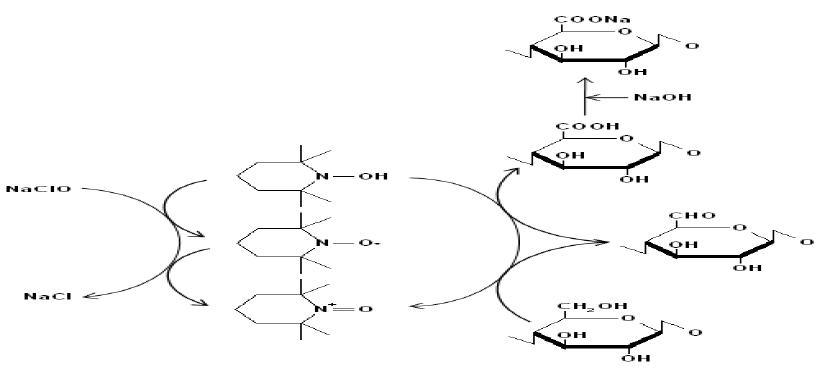 Scheme of selective oxidation mediated by sodium bromide-free TEMPO/sodium hypochlorite system.
