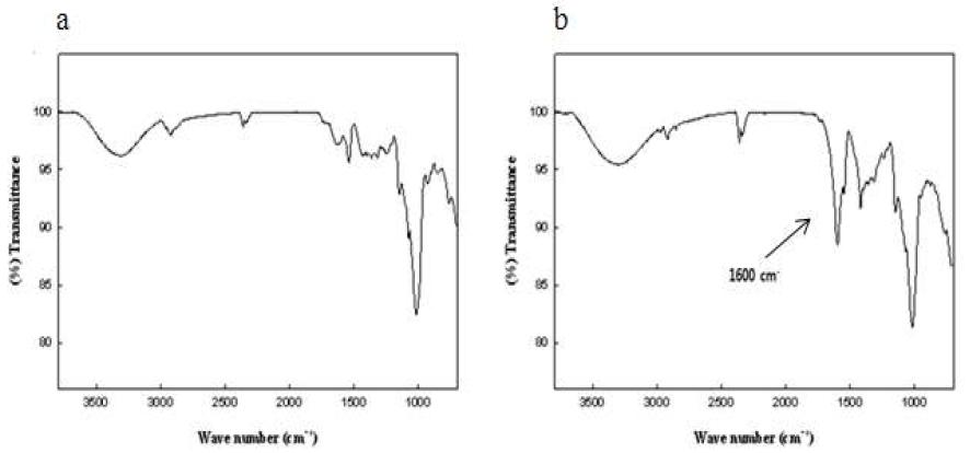 IR spectra of native (a) and oxidized (b) sweet potato residue (SPR).