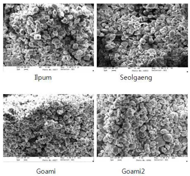 SEM micrographs of isolated starch granules of rice variety