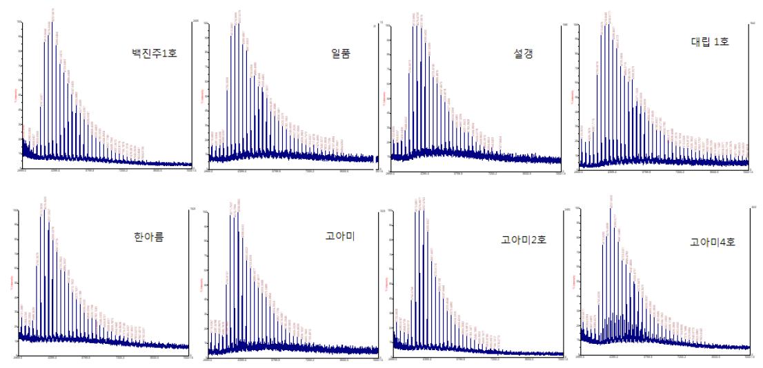 MALDI-TOF chromatogram of molecular mass distribution of cycloamylose from various rice starch treated with TAαGTase (100U/g) for 6hrs.