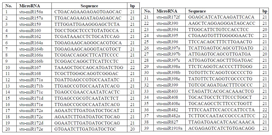 건조 스트레스 관련 감자 microRNAs summary.