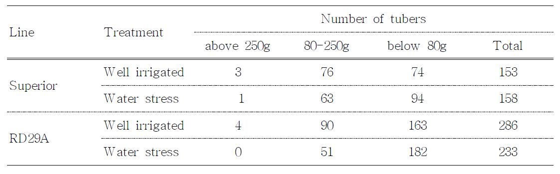 Number of tubers in water stress condition as the tuber weight.