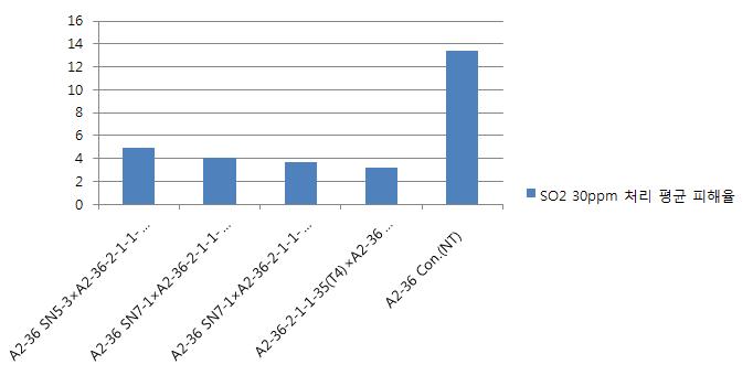 SOD2×NDPK2 형질전환체간 4교잡세대들의 아황산가스 피해율