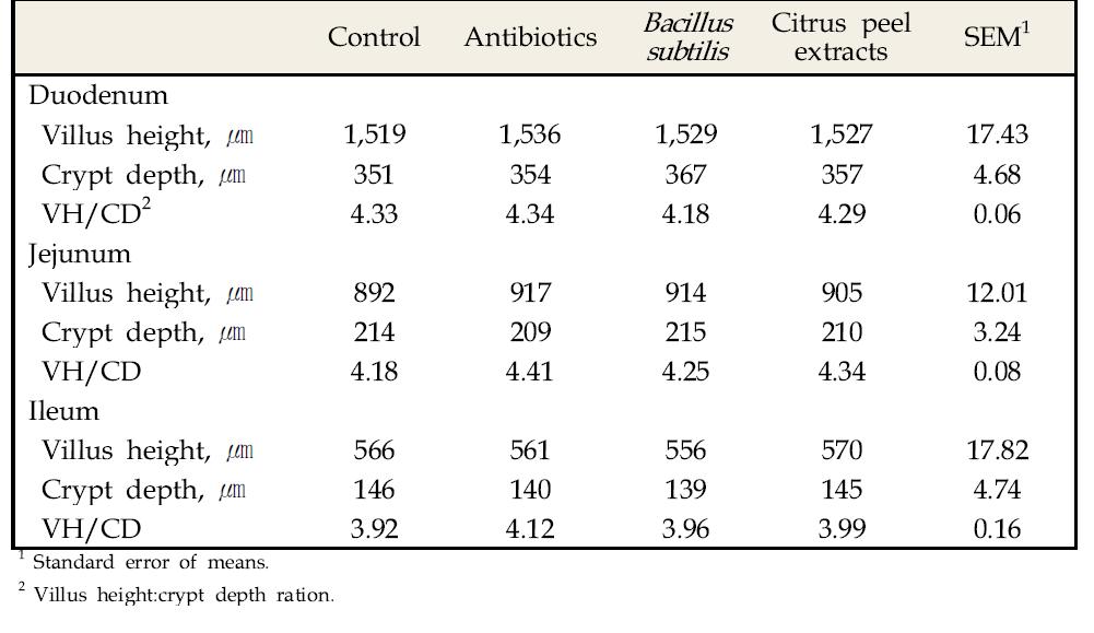 항생제와 생균제와의 비교를 통한 감귤박 추출물의 육계의 소장내 융모의 형태학적 변화에 미치는 영향