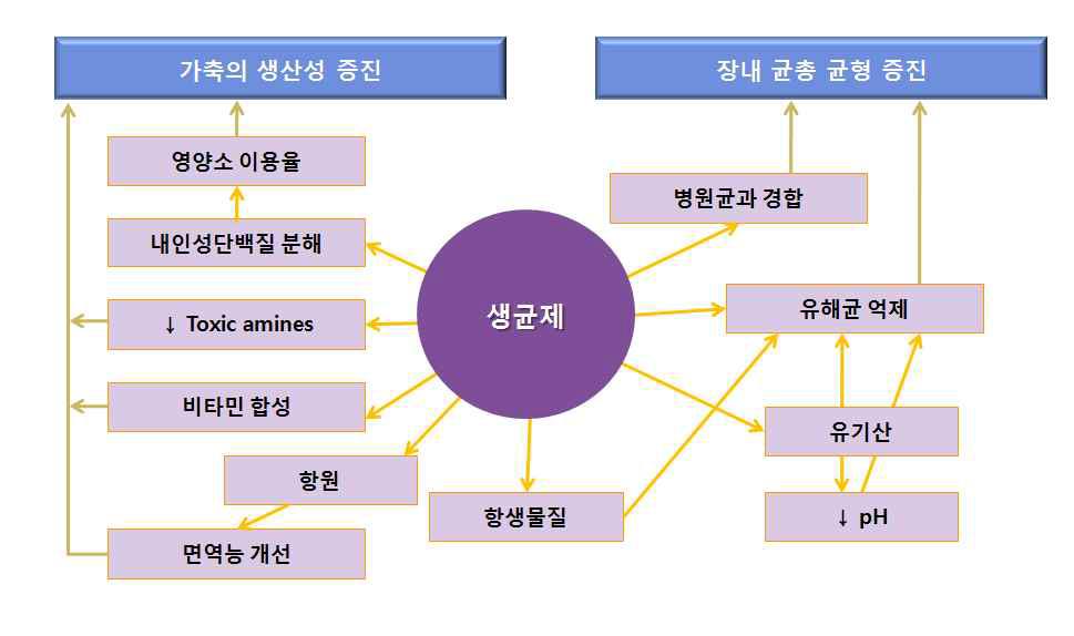 생균제의 기능