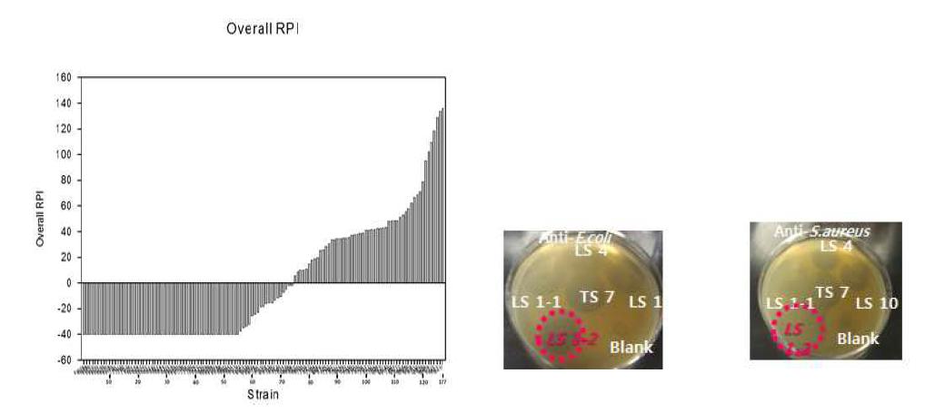 RPI (Relative performance index)를 이용한 후보균주의 스크리닝