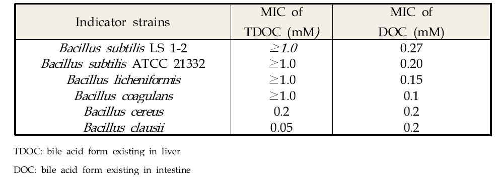 B. subtilis LS 1-2 배양액의 담즙내성