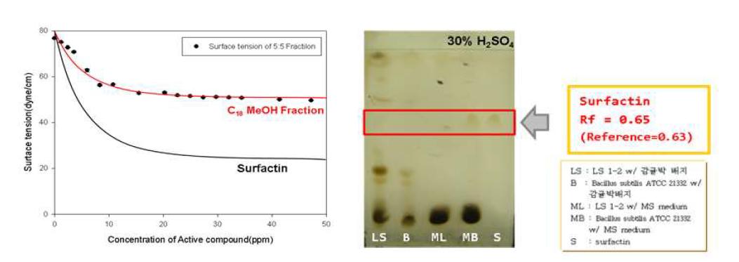 후보균이 생산하는 항균물질과 surfactin과의 표면장력비교 (좌) 및 TLC 분석 (우).