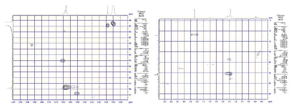 분리된 항균활성 물질의 HSQC 분석결과