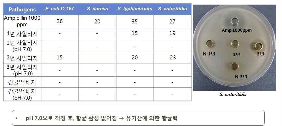 감귤 사일리지의 항균력