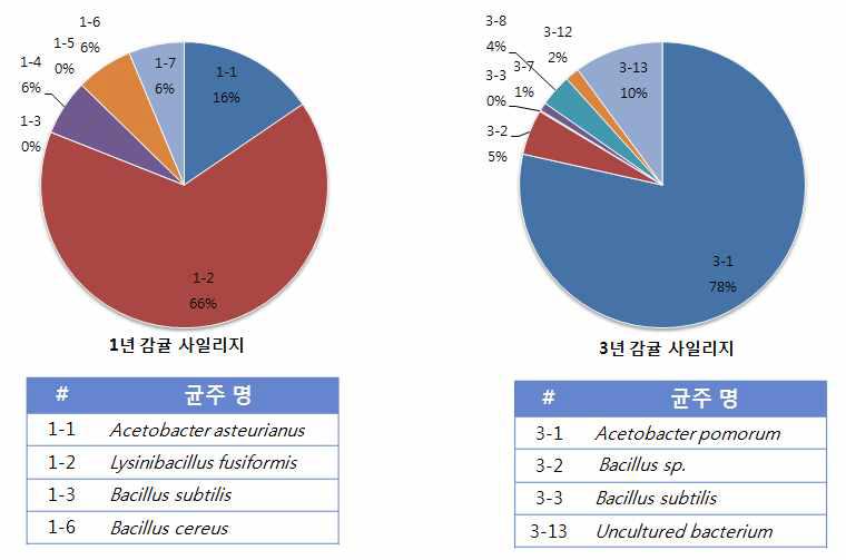 감귤 사일리지의 미생물 균총 조사 및 균주 동정