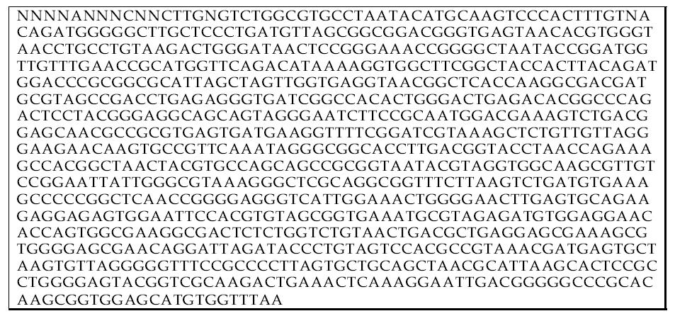 Complete sequence of 주형 1-1 16S ribosomal RNA gene