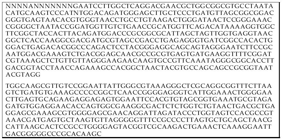 Complete sequence of 된 3-2-1 16S ribosomal RNA gene