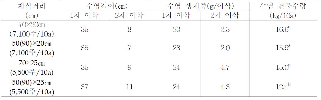 재식거리에 따른 옥수수수염 길이 및 수량(2010)