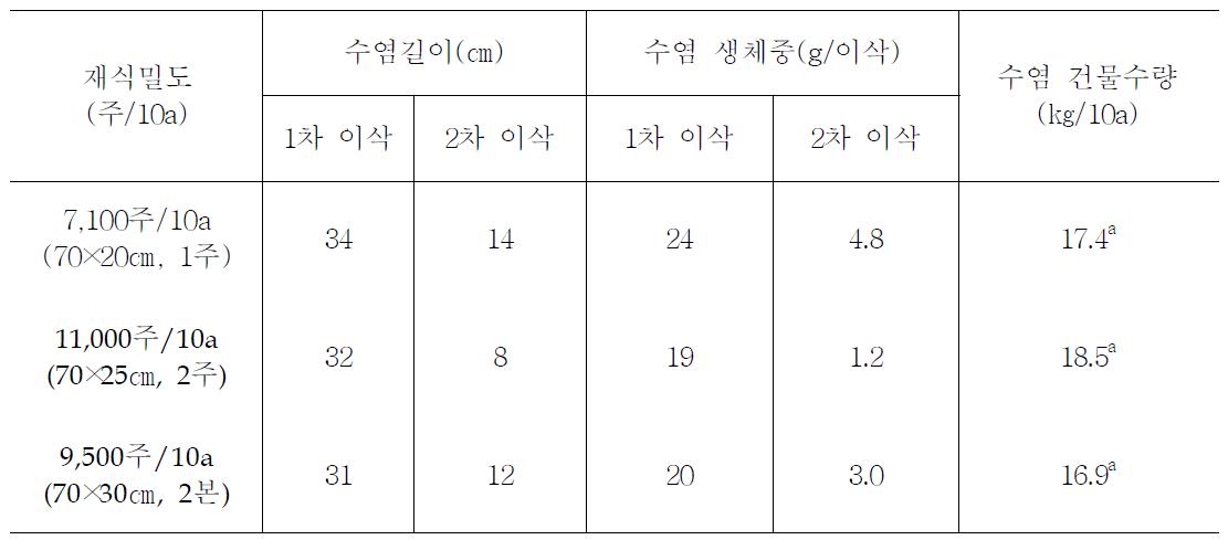 재식밀도에 따른 옥수수수염 길이와 수량(2010)