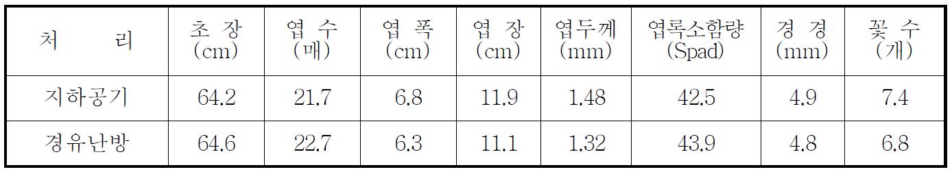 스프레이국화 2월 절화 생육상황