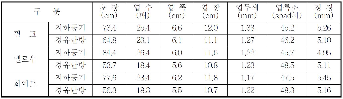 스프레이 국화 4～5월 재절화 생육조사