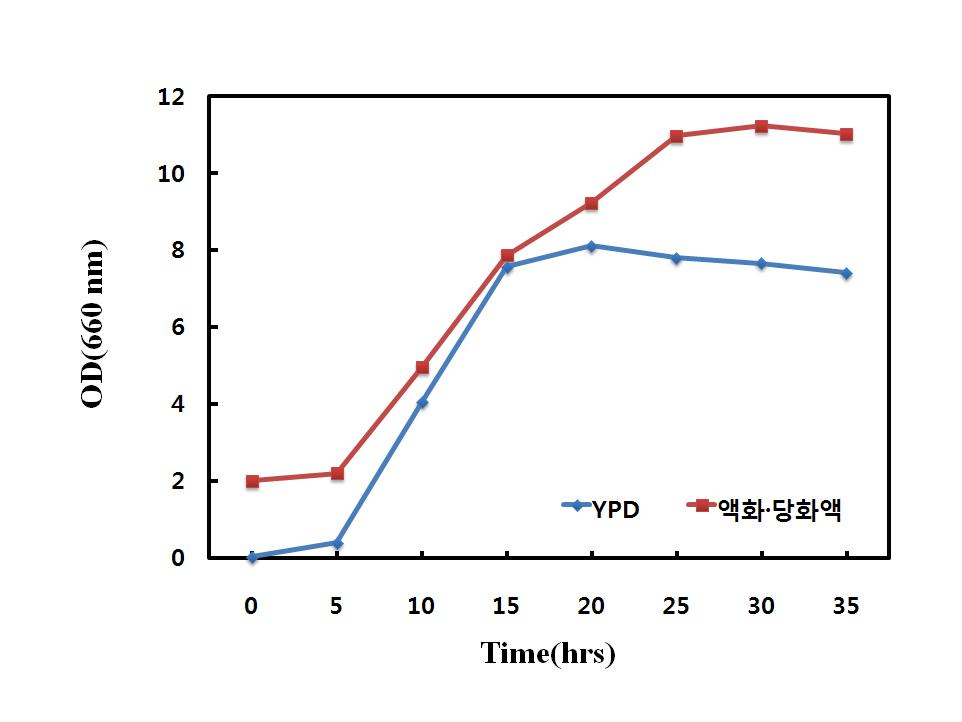 Comparison of YPD medium and rice medium(liquefied and saccharification) for cell growth