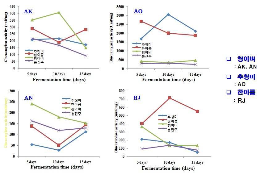 Comparison on glucoamylase activity of rice nuruk.