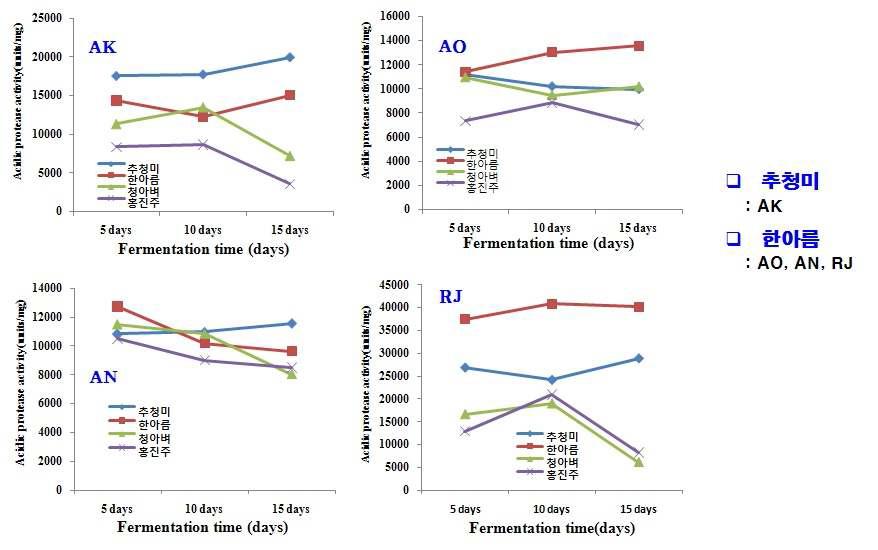 Comparison on acidic protease activity of rice nuruk.