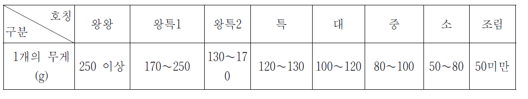 감자의 크기 구분