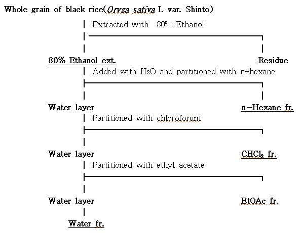 신토흑미 추출물 제조 과정
