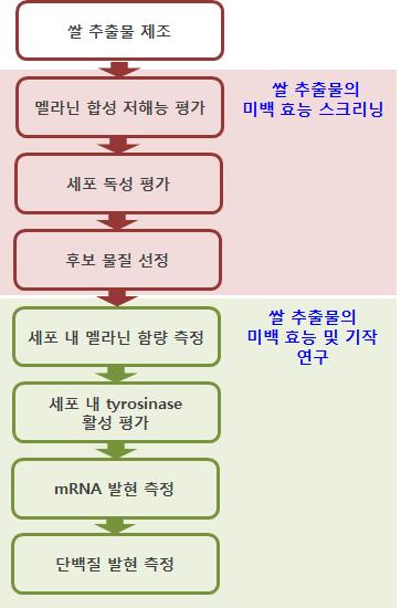 실험 개요