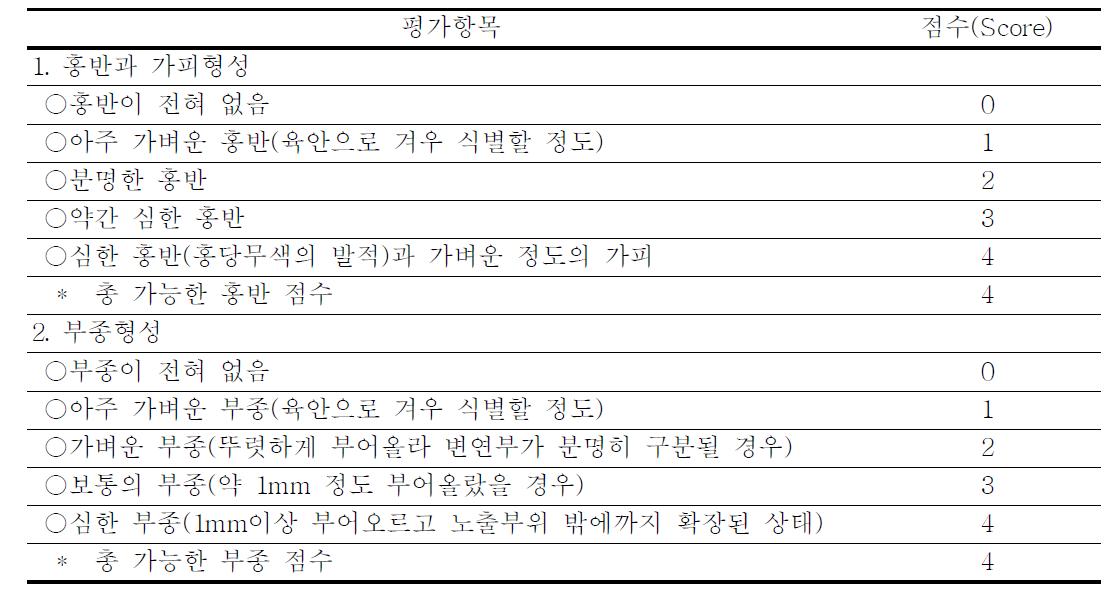 피부반응평가표