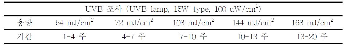 UVB 조사 프로토콜