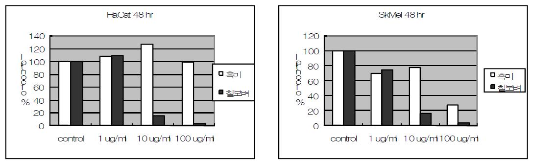 쌀추출물 처리에 따른 HaCat 및 SkMel 세포의 MTT 세포독성 평가