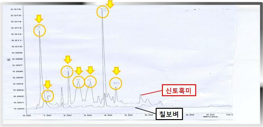 신토흑미 및 칠보벼 에틸아세테이트 분획에 대한 UPLC 분석