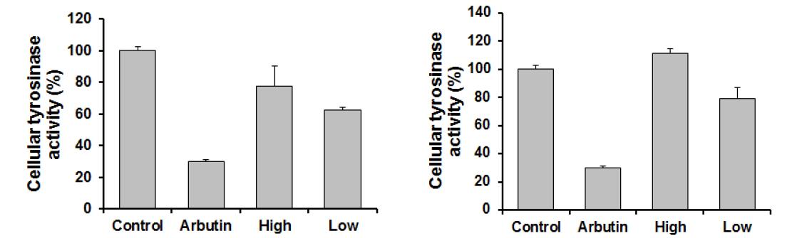 Cellular tyrosinase activity. 신토흑미(L), 칠보벼(R)