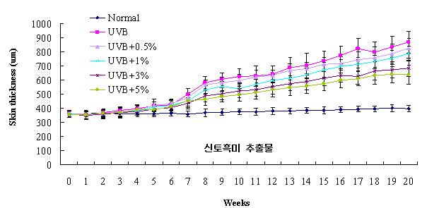 UVB 조사 및 신토흑미 추출물 도포에 따른 피부두께 변화