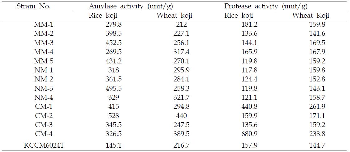 Activities of glucoamylase and protease produced by various mold strains for 5 days at 30℃