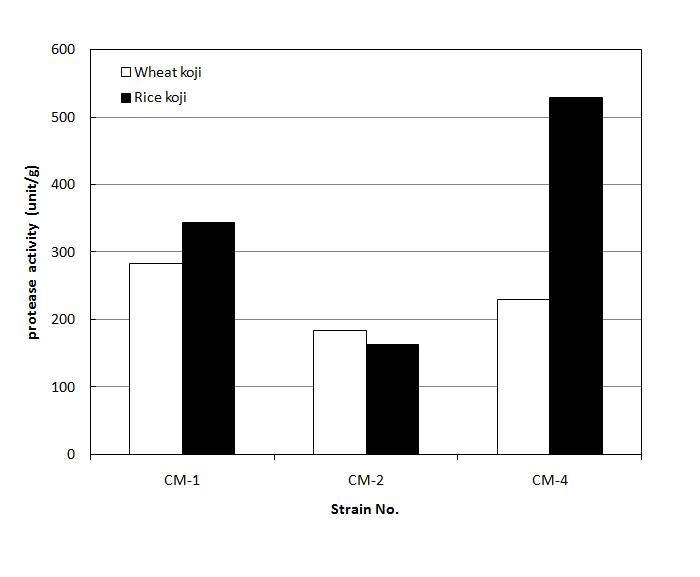 Comparison of glucoamylase activity in rice koji and wheat koji cultured with different strains for five dyas at 30℃