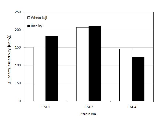 Comparison of protease activity in rice koji and wheat koji cultured with different strains for five days at 30℃