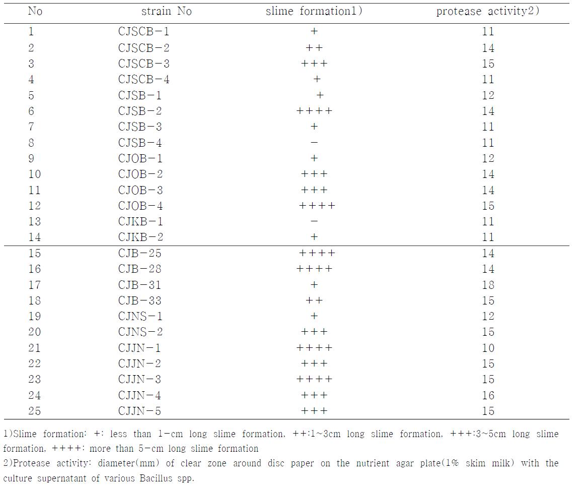 Slime material formation and Protease activity of various strains of Bacillus spp. screened by morphological difference