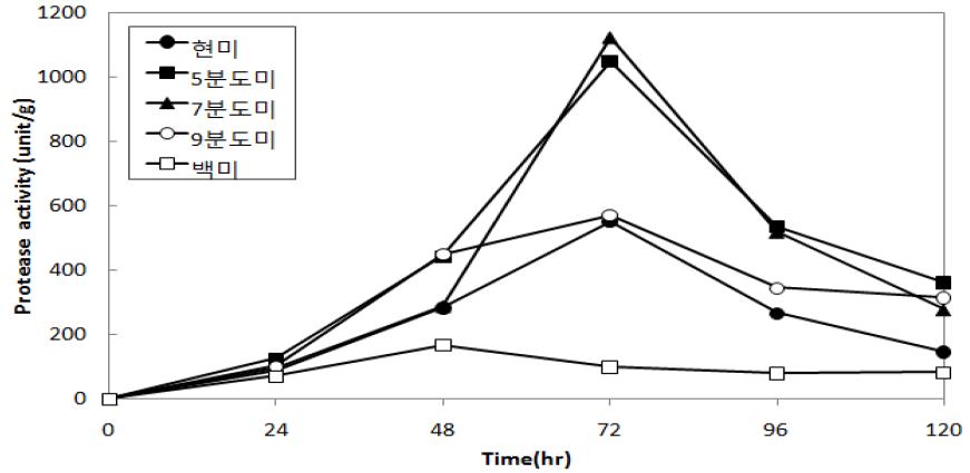 Changes of protease activity in rice koji cultured accordingto polishing rate during five days at 30℃