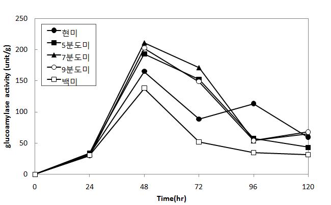 Changes of protease activity in rice koji cultured according to polishing rate during five days at 30℃