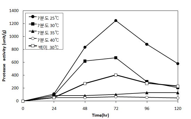 Changes of protease activity in brown rice koji culturedaccording to culture temperature during five days at 30℃.