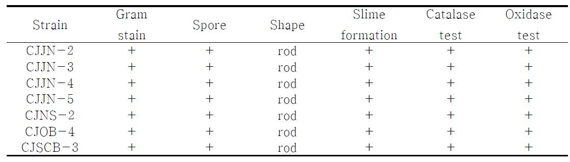 Cultural characteristics of the various strains isolated from doenjang and meju.